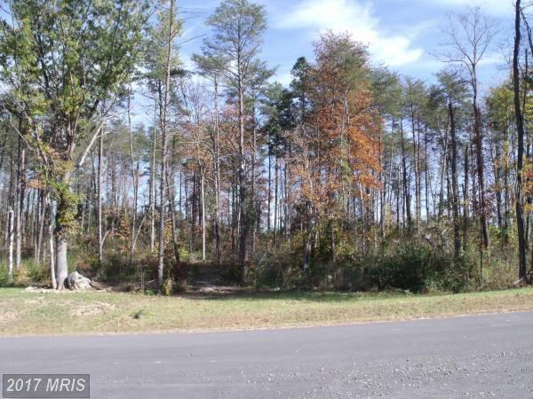 Woodland Shores Drive - Photo 1