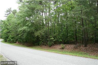 Hemlock - Photo 1