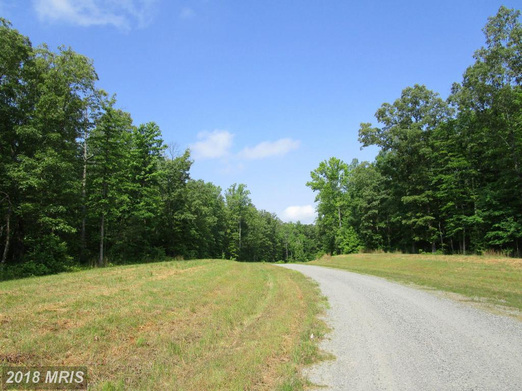2 Dove Hollow - Photo 1