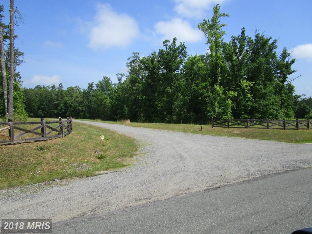1 Dove Hollow - Photo 1