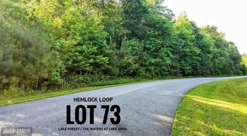 73 Hemlock Loop - Photo 1