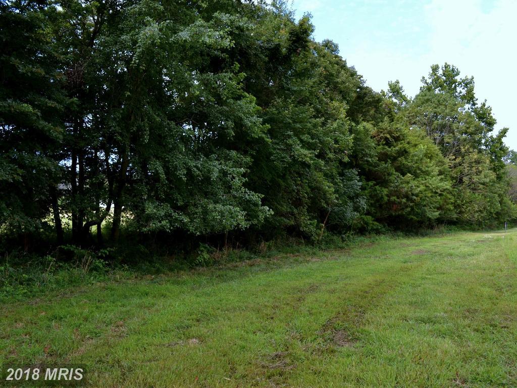 2 Old Carolina Road - Photo 1