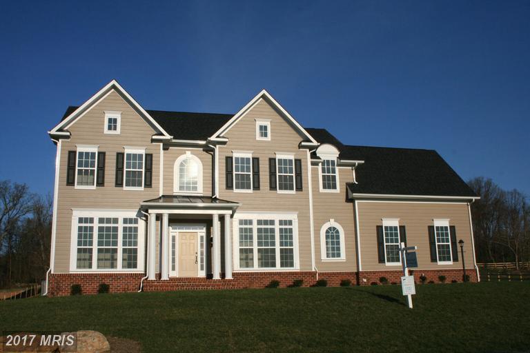 18237 Wild Raspberry Drive - Photo 1