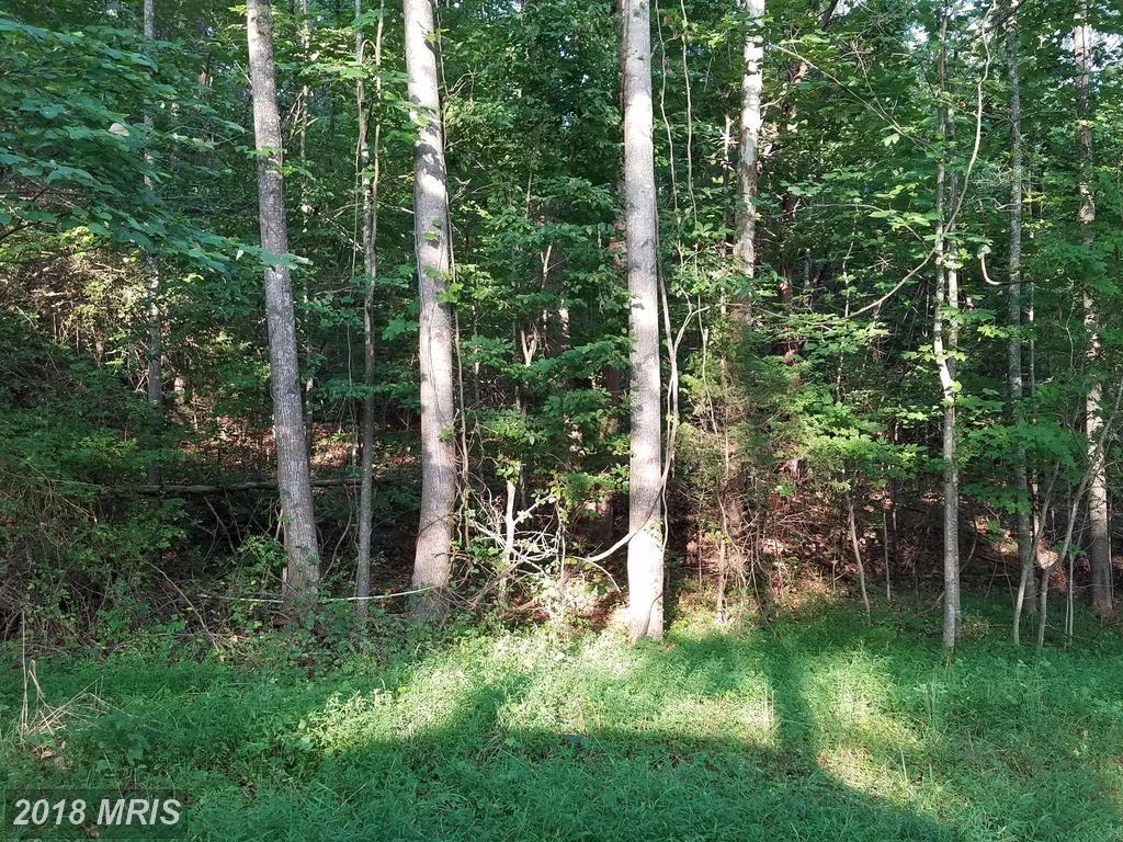 Ruth Road - Photo 1