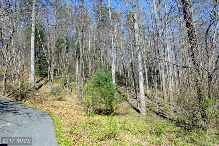 Weaver Hollow Road - Photo 1
