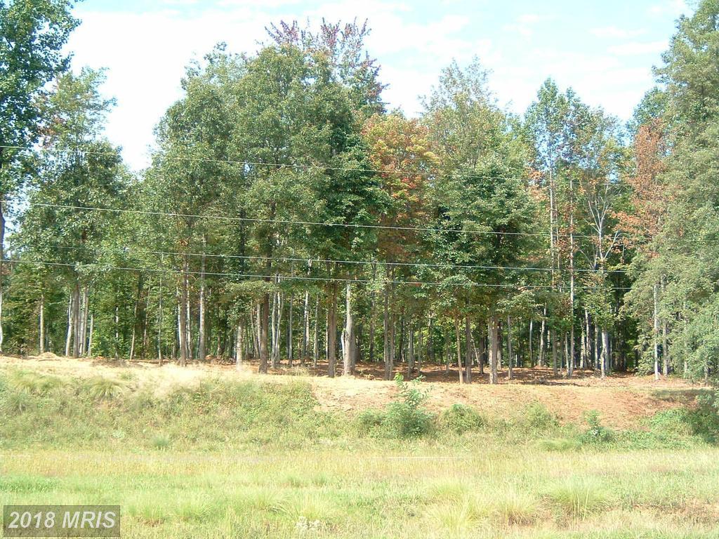 Seminole Trail - Photo 1