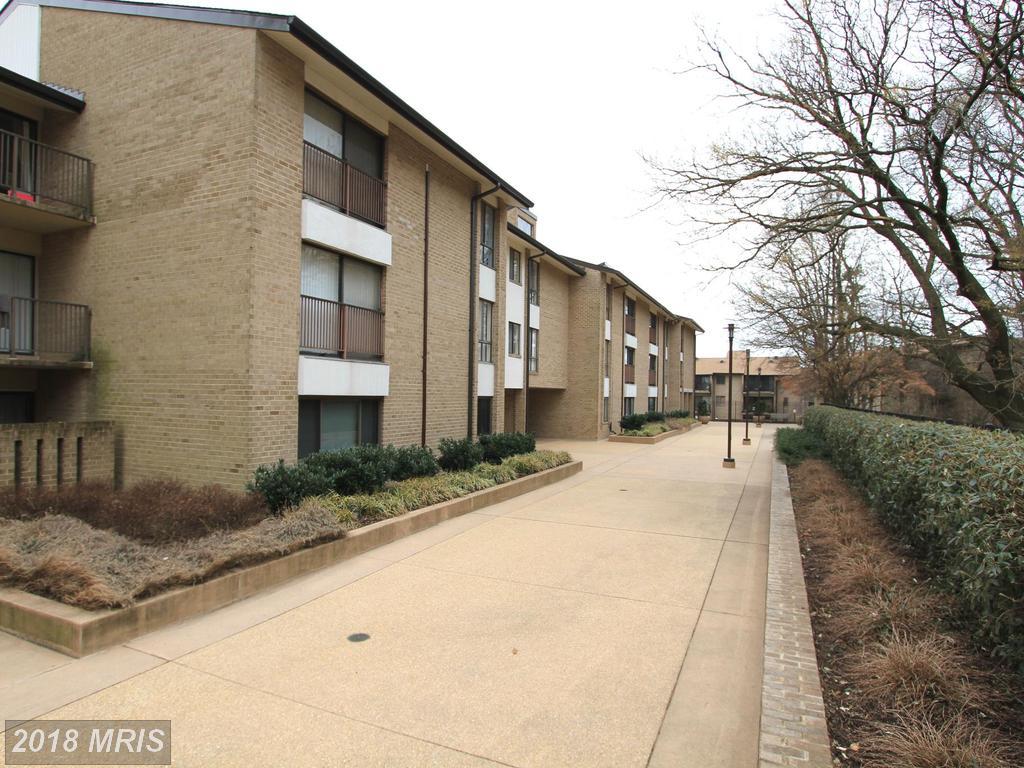 104 Monroe Street - Photo 1