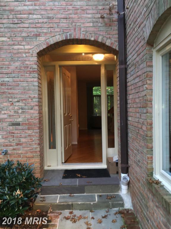 6105 Goldtree Way - Photo 1