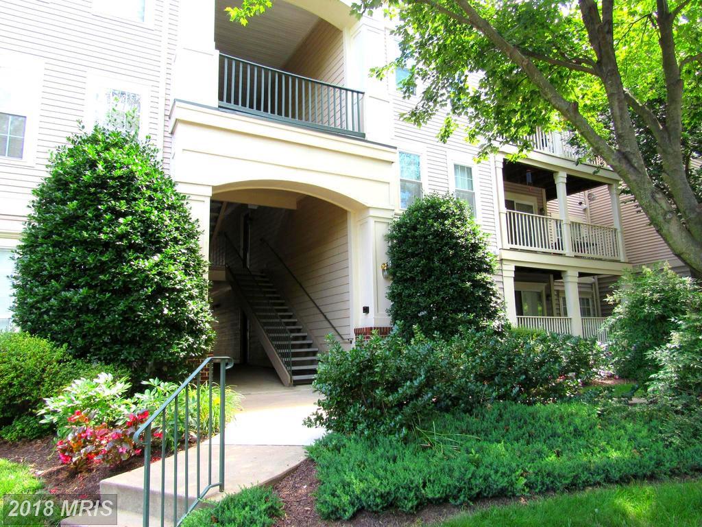 15303 Diamond Cove Terrace - Photo 1