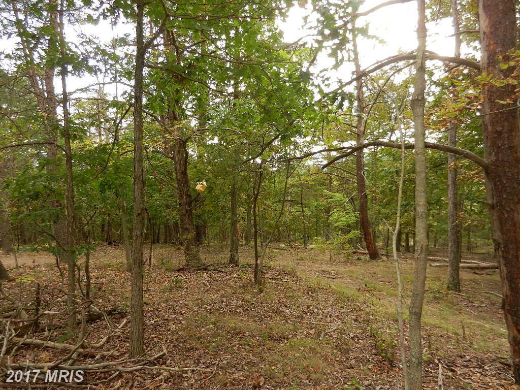 Fountainhead Drive - Photo 1