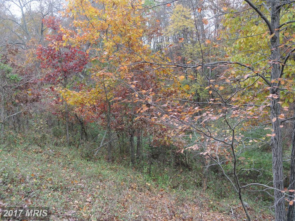 Woodbrier - Photo 1