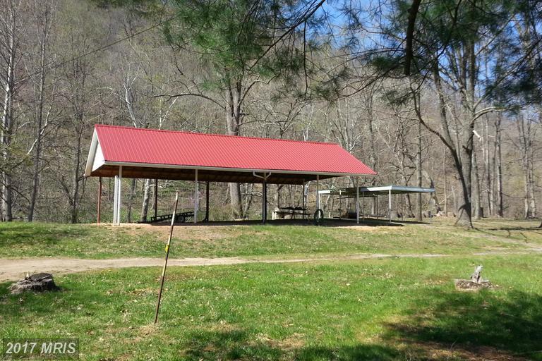 1119 Golladay Lane - Photo 1