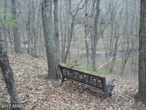 Creek View Lane - Photo 1