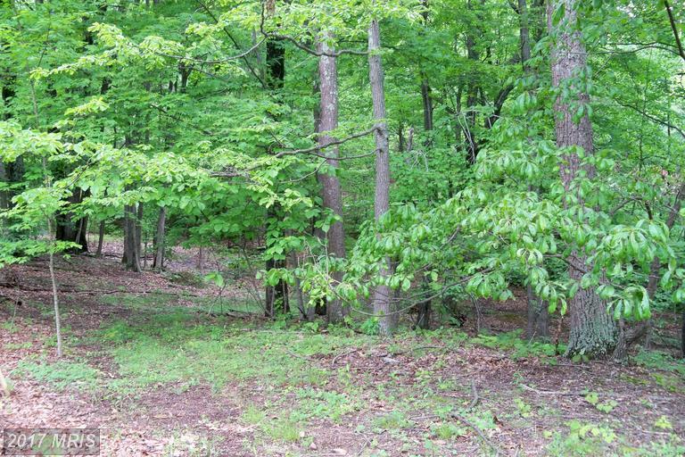 LOT 31 Oak Ridge Lane - Photo 1