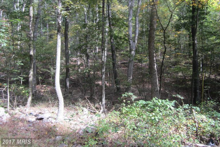6 Audubon Road - Photo 1