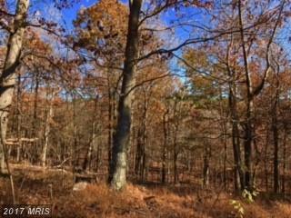 Connors Hollow Rd - Photo 1