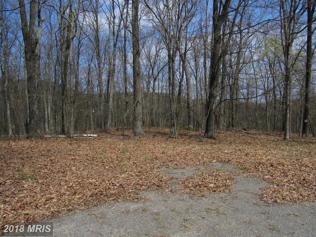Dogwood Flats - Photo 1