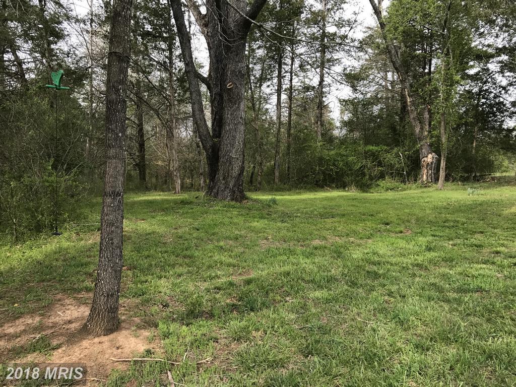 Hickory Creek Road - Photo 1