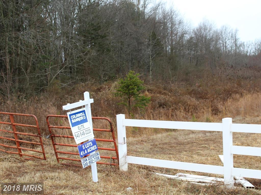 Rose Marie Drive - Photo 1