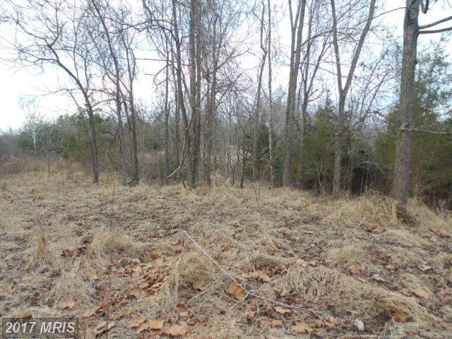 Orange Springs Road - Photo 1