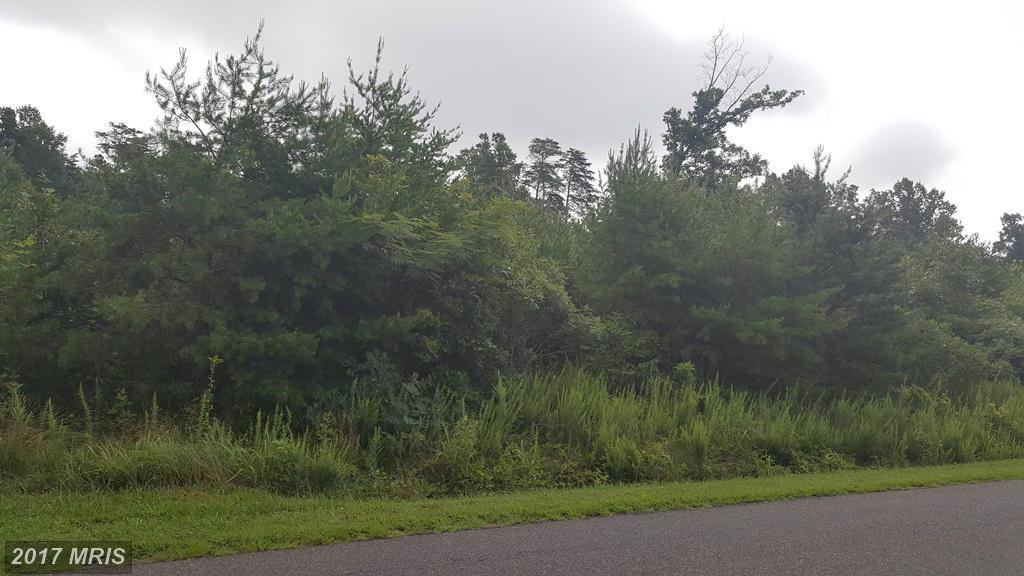 Madison Run Road - Photo 1