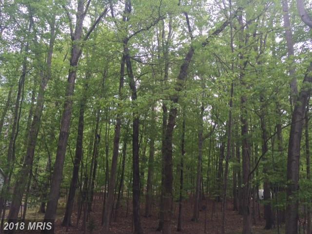 500 Gold Valley Road - Photo 1