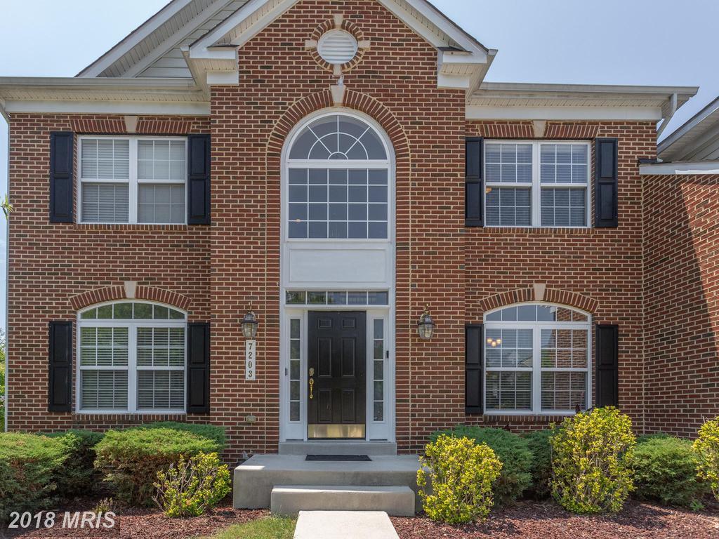 7203 China Doll Court - Photo 1