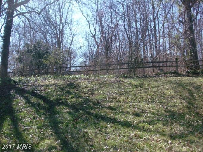 14305 Medwick Court - Photo 1