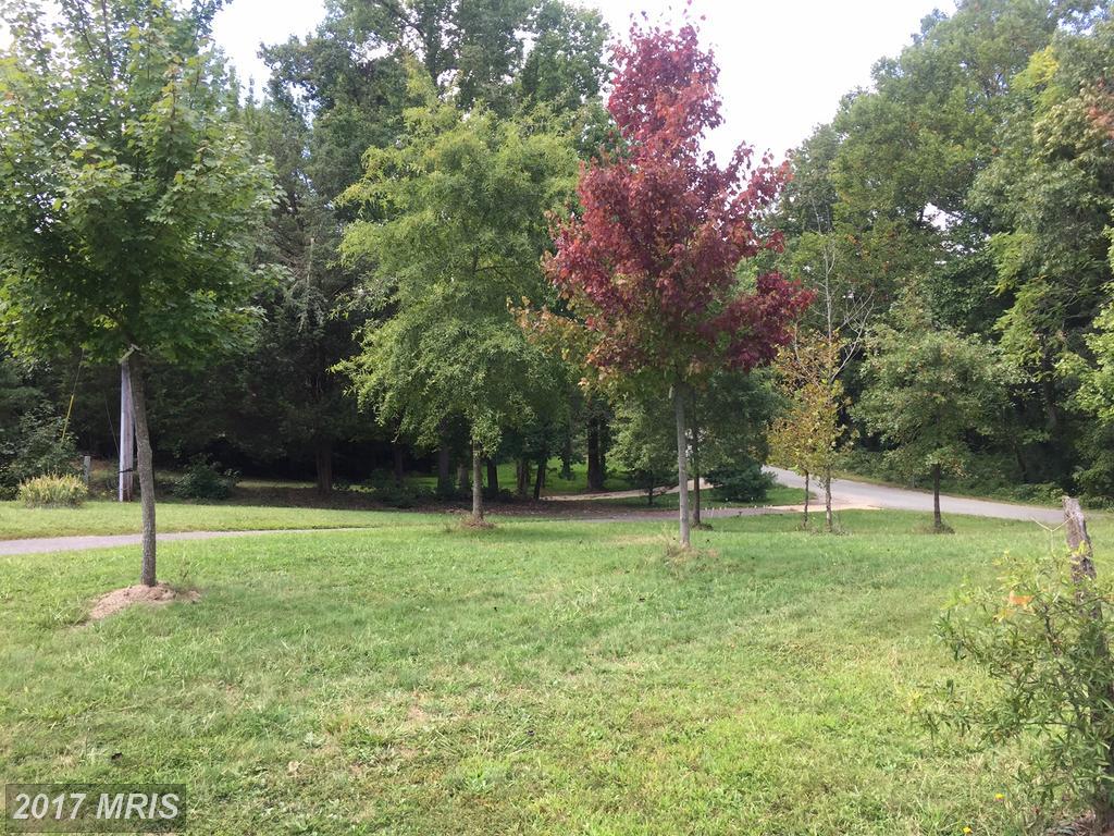 16607 Saint Marys Church Road - Photo 1