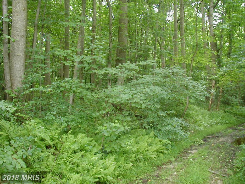 Candy Hill Road - Photo 1