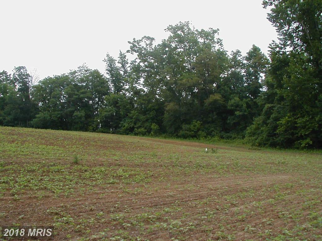 Candy Hill Road - Photo 1