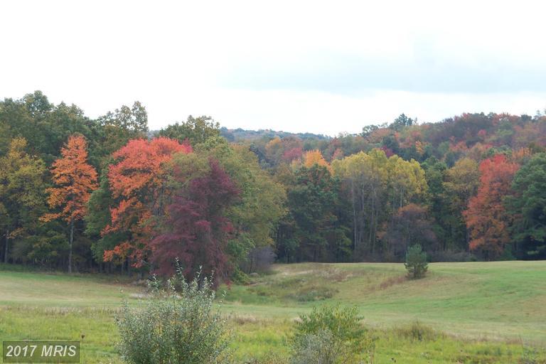 5859 Snowy Creek Lane - Photo 1