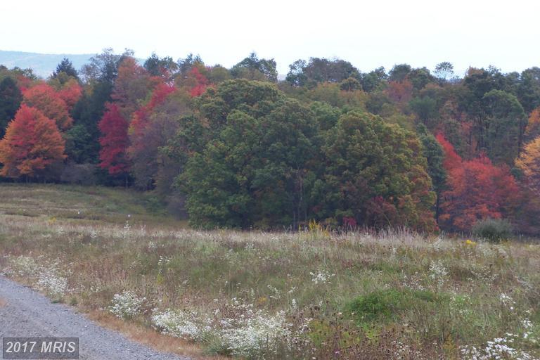 58 Snowy Creek Lane - Photo 1