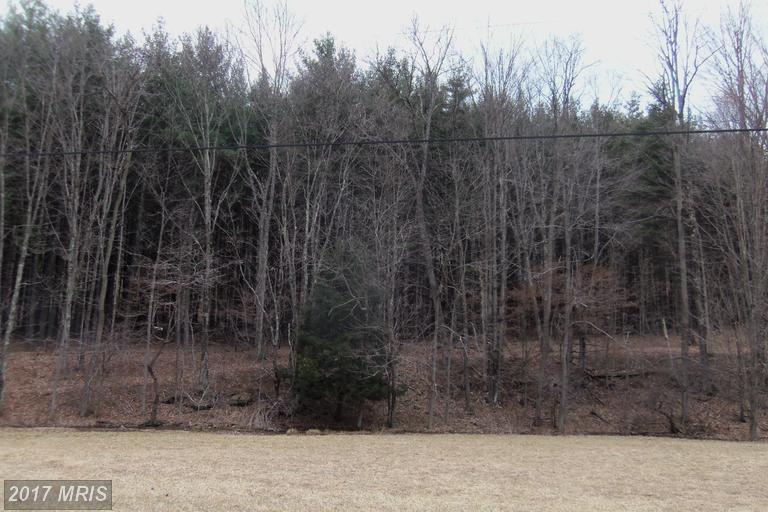 59 Snowy Creek Lane - Photo 1