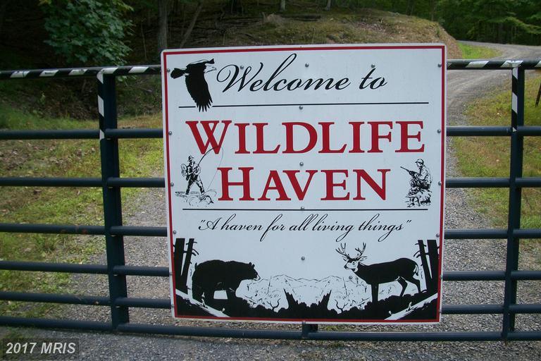 Wildlife Haven - Photo 1
