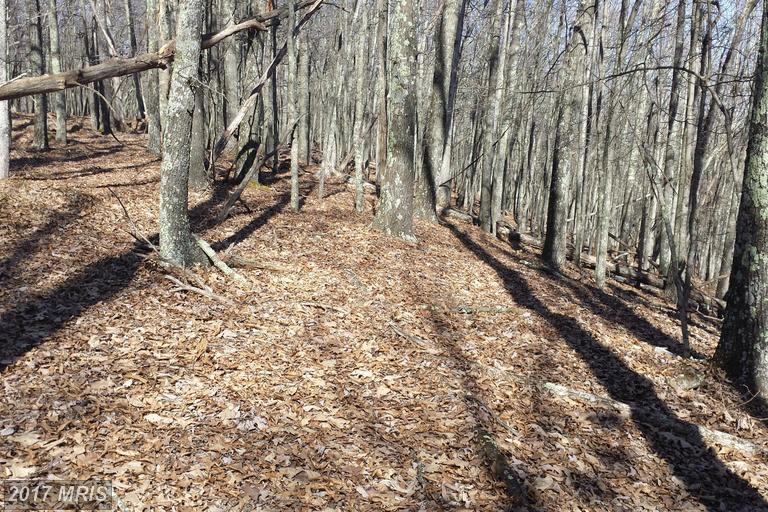 South Fork Mountain - Photo 1