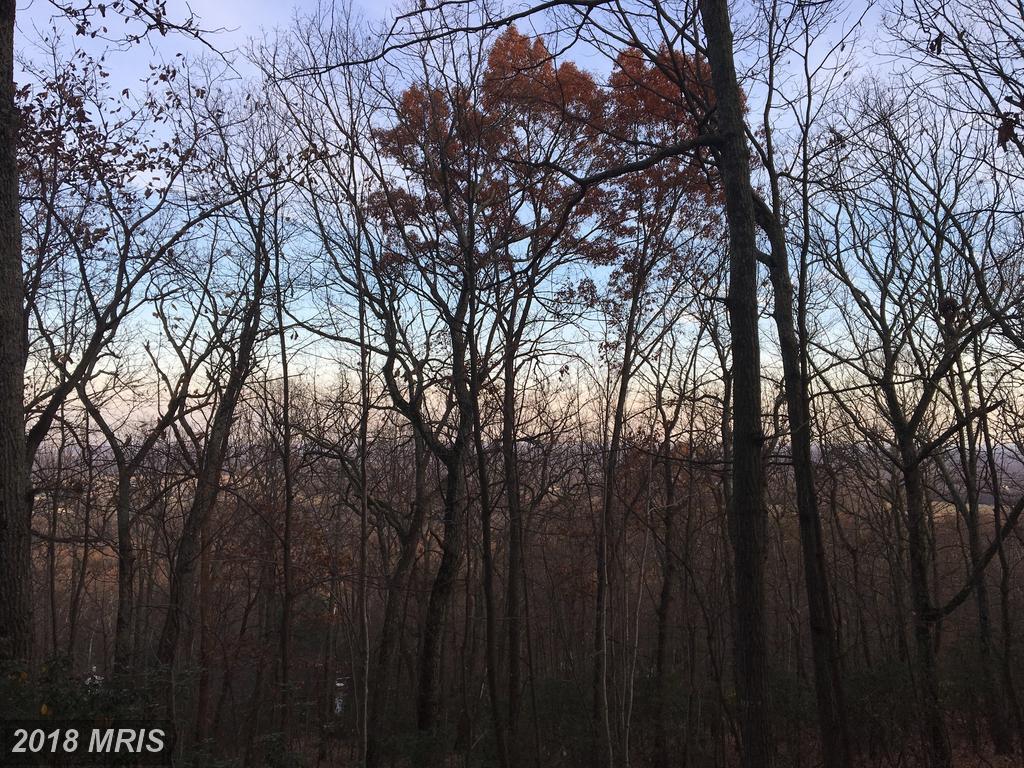 2415 Jackson Drive - Photo 1