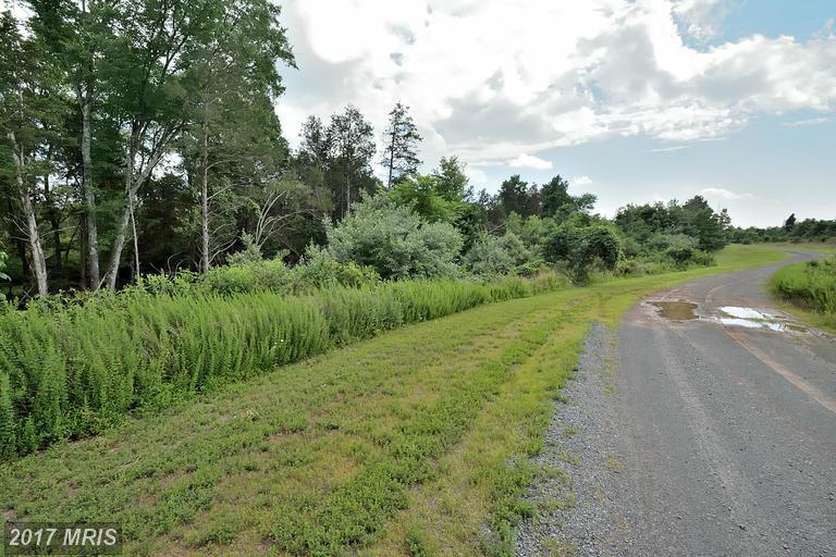 13030 Haddonfield Lane - Photo 1