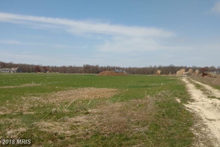 Shawn Road - Photo 1
