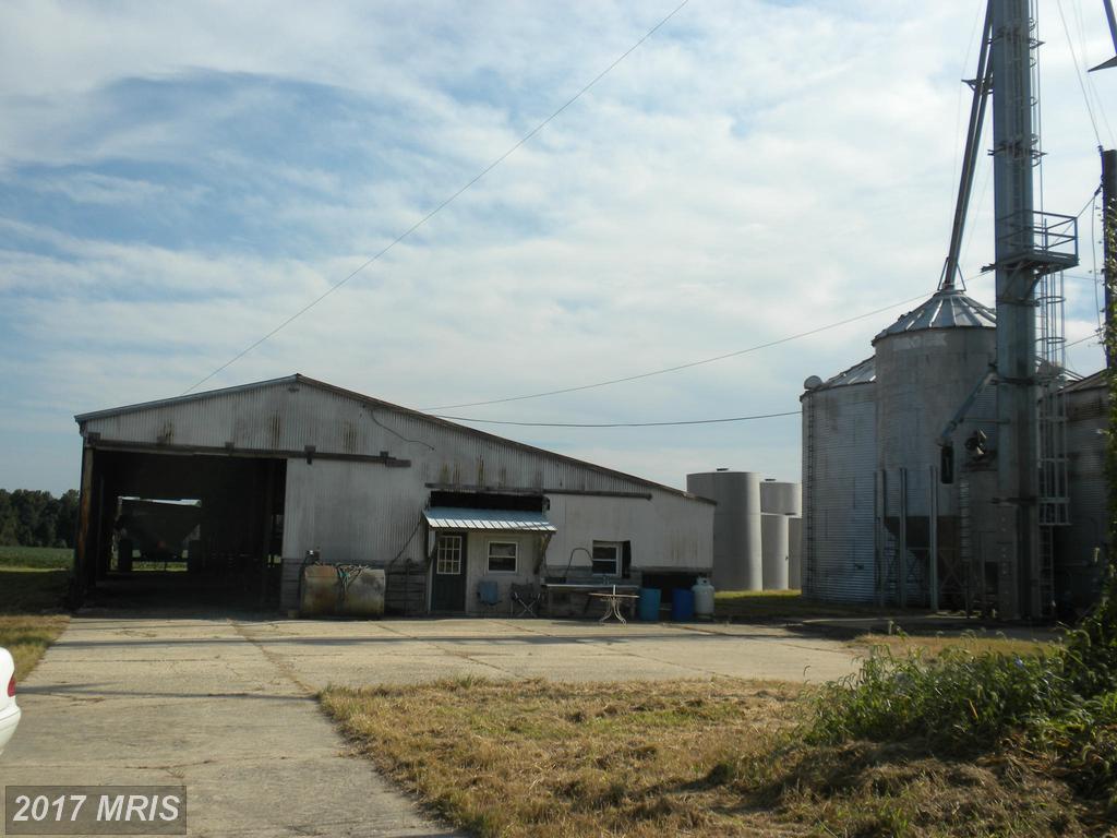 161 Ben Lee Farm Lane - Photo 1