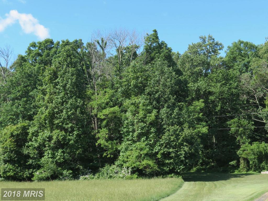 Ladelle Knoll Lane - Photo 1