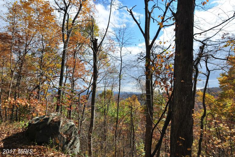 60 Rattlesnake Hollow - Photo 1