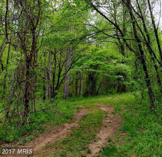 Pearl Lane - Photo 1