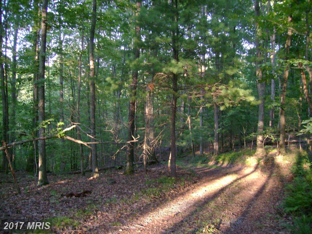 299 Whorton Hollow Road - Photo 1