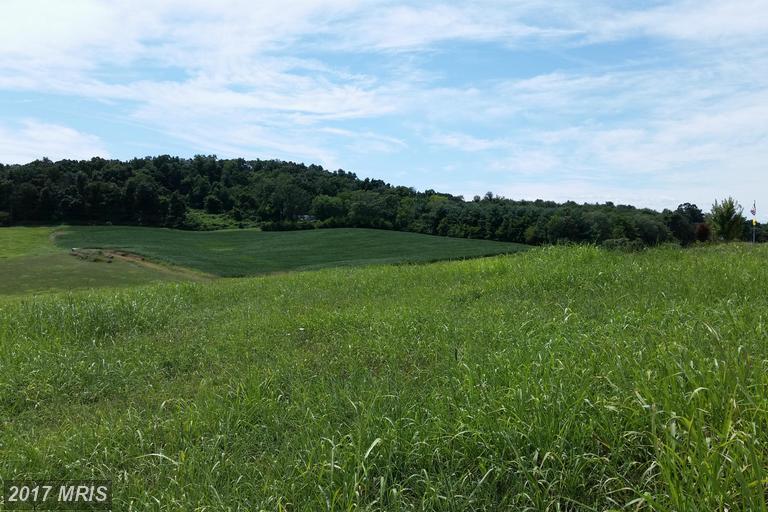Turkey Knob Road - Photo 1