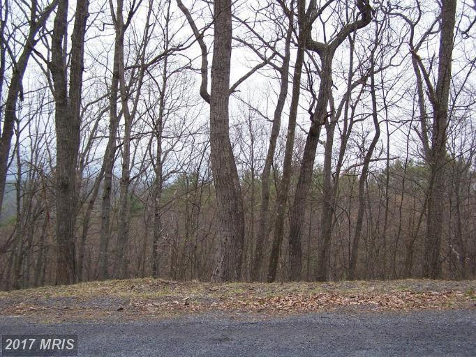 0 Pheasant Drive - Photo 1