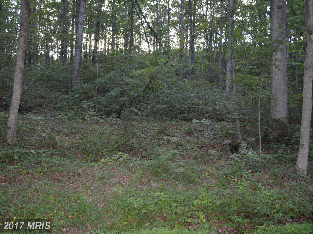 0 Mineshaft Lane - Photo 1