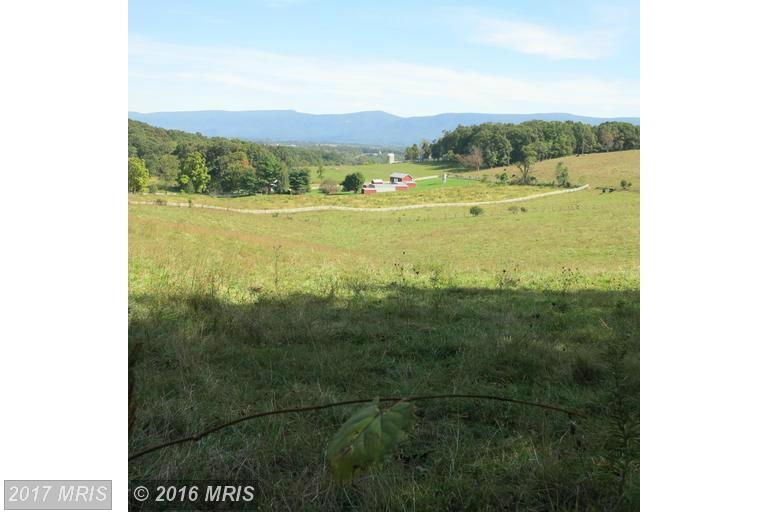 Cave Ridge Road - Photo 1