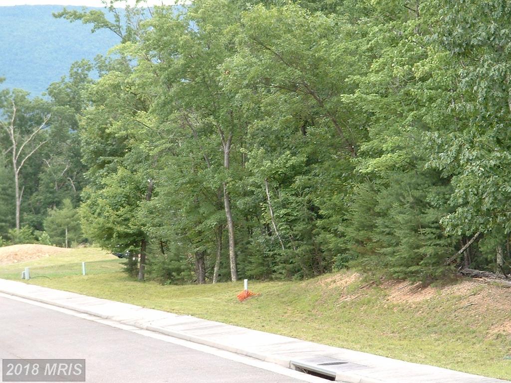 0 Creek Valley - Lot 5 Drive - Photo 1