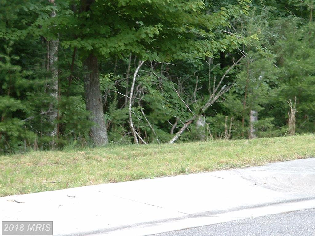 0 Creek Valley - Lot 10 Drive - Photo 1